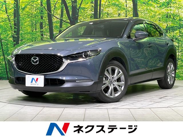 車両画像
