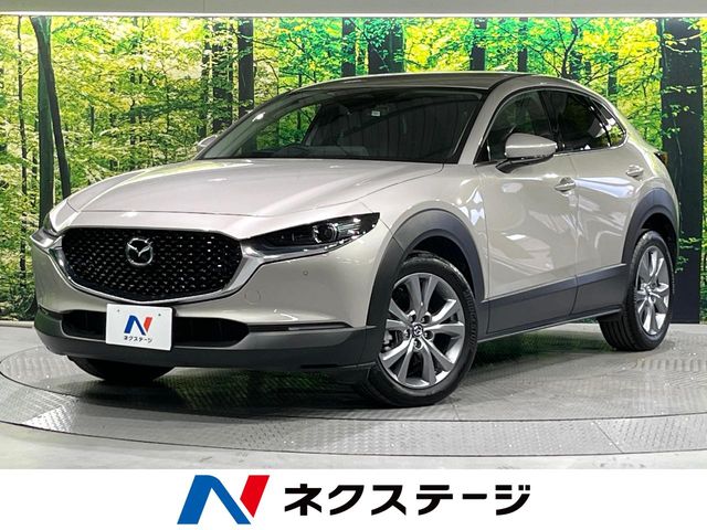 車両画像